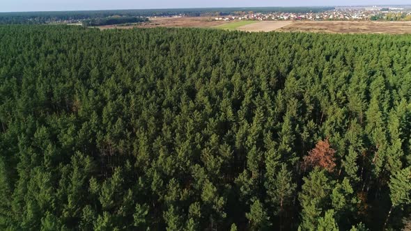 Flight Over Solar Panel Farm