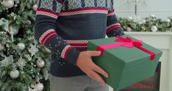 Man Receiving a Gift Box From Sweetheart Holding a Present Near New Year Tree Enjoying Family Fun alt