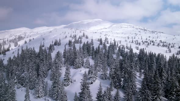 Aerial View of Wild Mountain Valley in Winter
