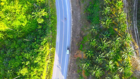 Aerial view road through the forest alt