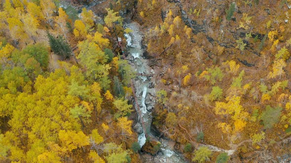 Mountain river View of the wild river Eastern Sayan Siberia Buryatia Arshan alt