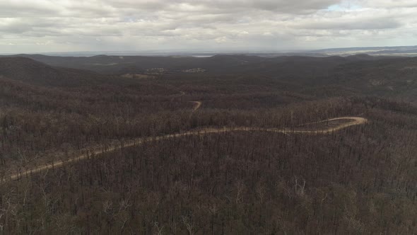 Australian Bushfire Burnt Landscape 