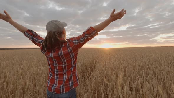 Successful woman farmer walking in wheat field to meet sun at sunset raising alt