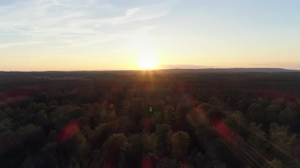 Aerial View of Forest Landscape Sunset