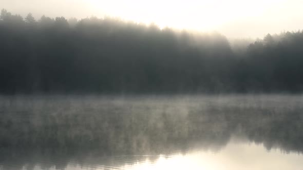 Morning Fog Blows Slowly Across a Clam Lake with Forest Reflecting in the Water