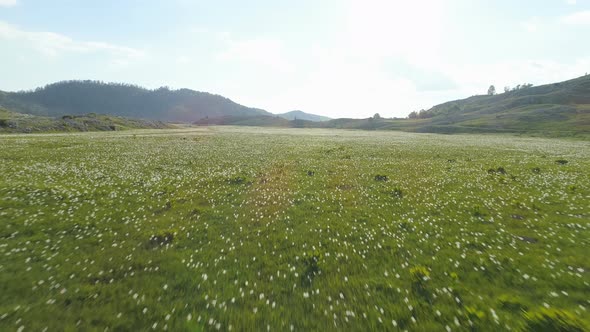 Green Meadow in Lukavica Plateau in the Spring Montenegro