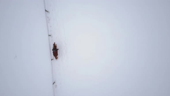 Woman Riding Horse in Snow Top View