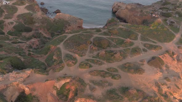Aerial view of the coast alt