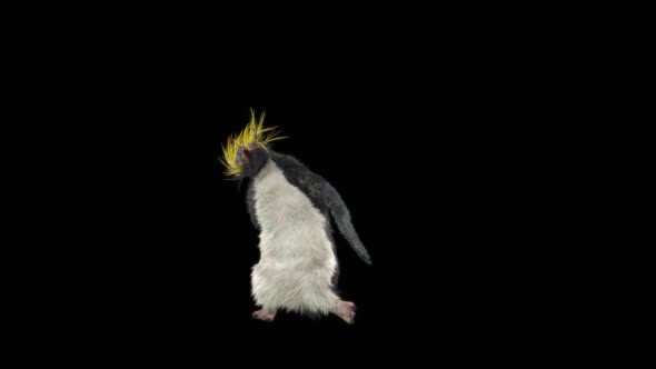 Penguin Dancing HD alt