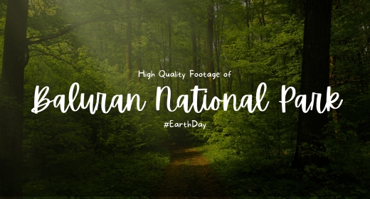 Baluran National Park