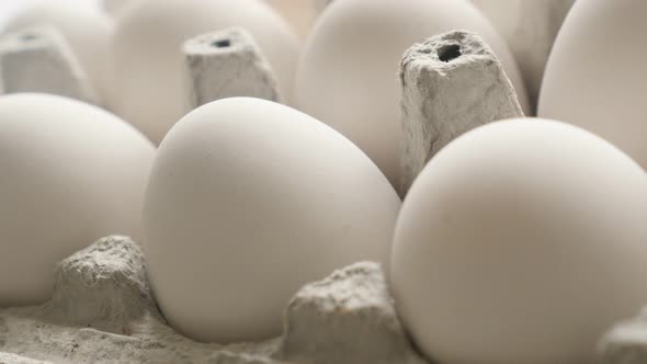 Slow pan on packed chicken eggs  close-up 4K footage alt