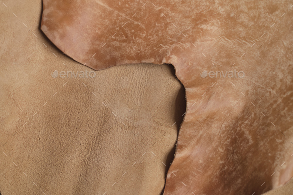 collection of high-quality beige leather swatches in various shades, showcasing their natural