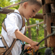 Little boy clamping safety rope hooks to the tree while climbing in rope  adventure park Stock Photo by kryzhov