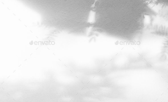 Background Light Shadow on blur Wall, Abstract White Overlay Leaf ...