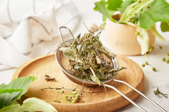 Close up dry mint - ingredients for preparing natural organic linden and mint herbal tea.