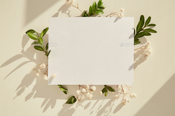 Minimalistic stationery card with leaves and gypsophila under sunny shadows, invitation mock up.