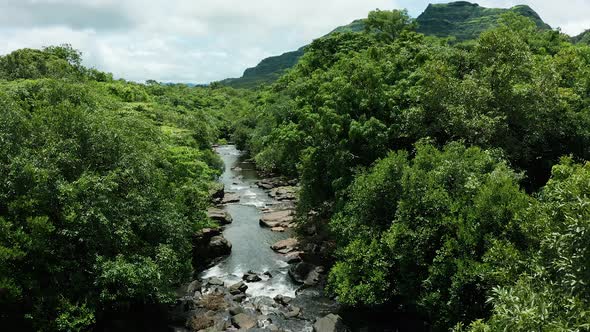 Flying between trees over a pristine jungle stream flowing inside the forest with distant monsoon cl alt