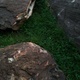 stone with green grass in the park - PhotoDune Item for Sale