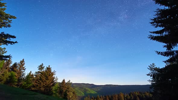 Night Sky Full of Stars with Milky Way Galaxy in Forest Landscape