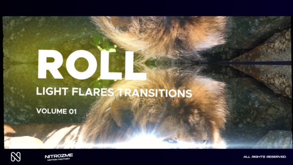Light Flares Roll Transitions Vol. 01