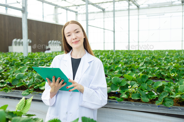 Scientist working collect data record tracking plant grow data for agriculture farm research science