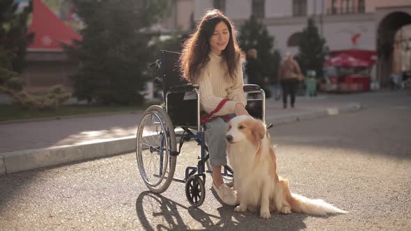 Pretty Disabled Invalid Asian Girl Sitting on Wheelchair and Petting a Guide Dog While Riding on alt