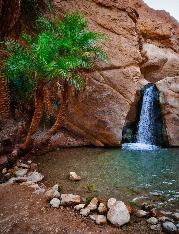A small waterfall and palms in the Chebika Oasis in Tunisia, Africa - Stock Photo - Images