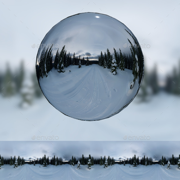 360 Degree Full Panorama of Fantasy Land Winter Forest Interior