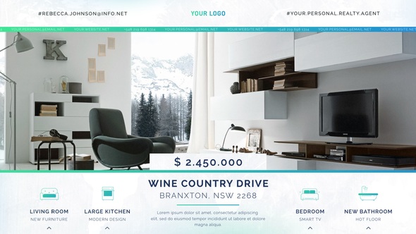 Real Estate IV Product Promo template preview