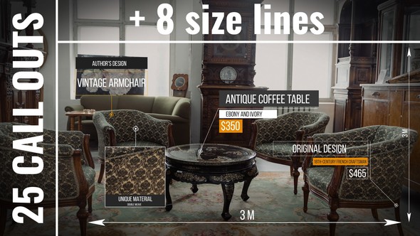 25 Call Outs for After Effects Infographics template preview