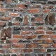 Random brick wall background - PhotoDune Item for Sale