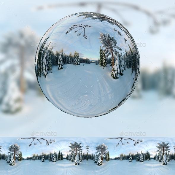 360 Degree Full Panorama of Fantasy Land Winter Forest Interior