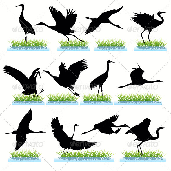 Cranes Silhouettes Set