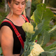 woman holding fresh Cauliflower head in garden. Concept autumn harvest and Thanksgiving day - PhotoDune Item for Sale