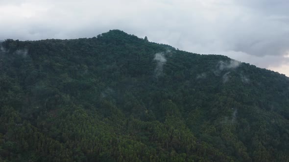 Green Dense Forest Covering Mountain Under Cloudy Sky