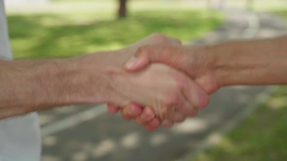 Close-up of two business men handshake.