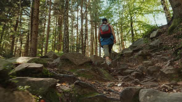 A Female Tourist Is Walking Along a Stony Path in the Forest