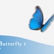 Blue Butterfly V3 - VideoHive Item for Sale