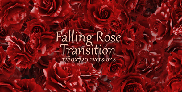 Falling Rose Transition