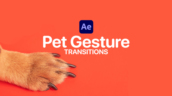 Pet Gesture Transitions for After Effects Elements template preview