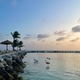 Paradise Aruba - PhotoDune Item for Sale