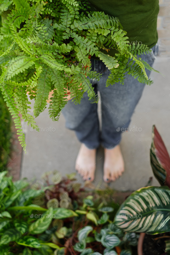 Woman holding houseplant fern over green lawn
