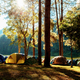Tents of camping in forest. - PhotoDune Item for Sale