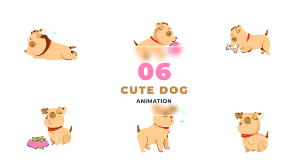 Cute Multiple Activity Dog Animation Scene