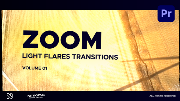 Light Flares Zoom Transitions Vol. 01 for Premiere Pro