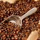Coffee beans in burlap sack with scoop - PhotoDune Item for Sale