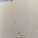 Footprints on the beach - PhotoDune Item for Sale