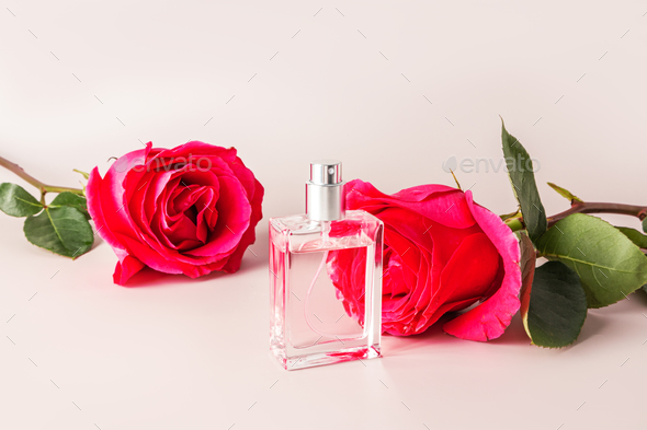 A beautiful bottle of perfume or cosmetic spray on the background of a cut red tea rose.