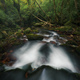 A stream jumps over several rocky steps on its way to a deciduous forest - PhotoDune Item for Sale
