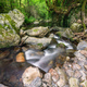 Gneiss and granite rocks between deciduous forests in a stream - PhotoDune Item for Sale